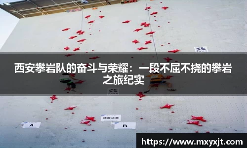 芒果体育官方网站