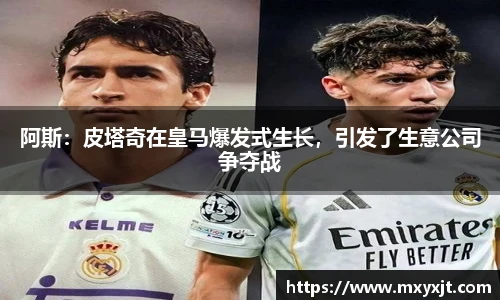 BB贝博官方网站